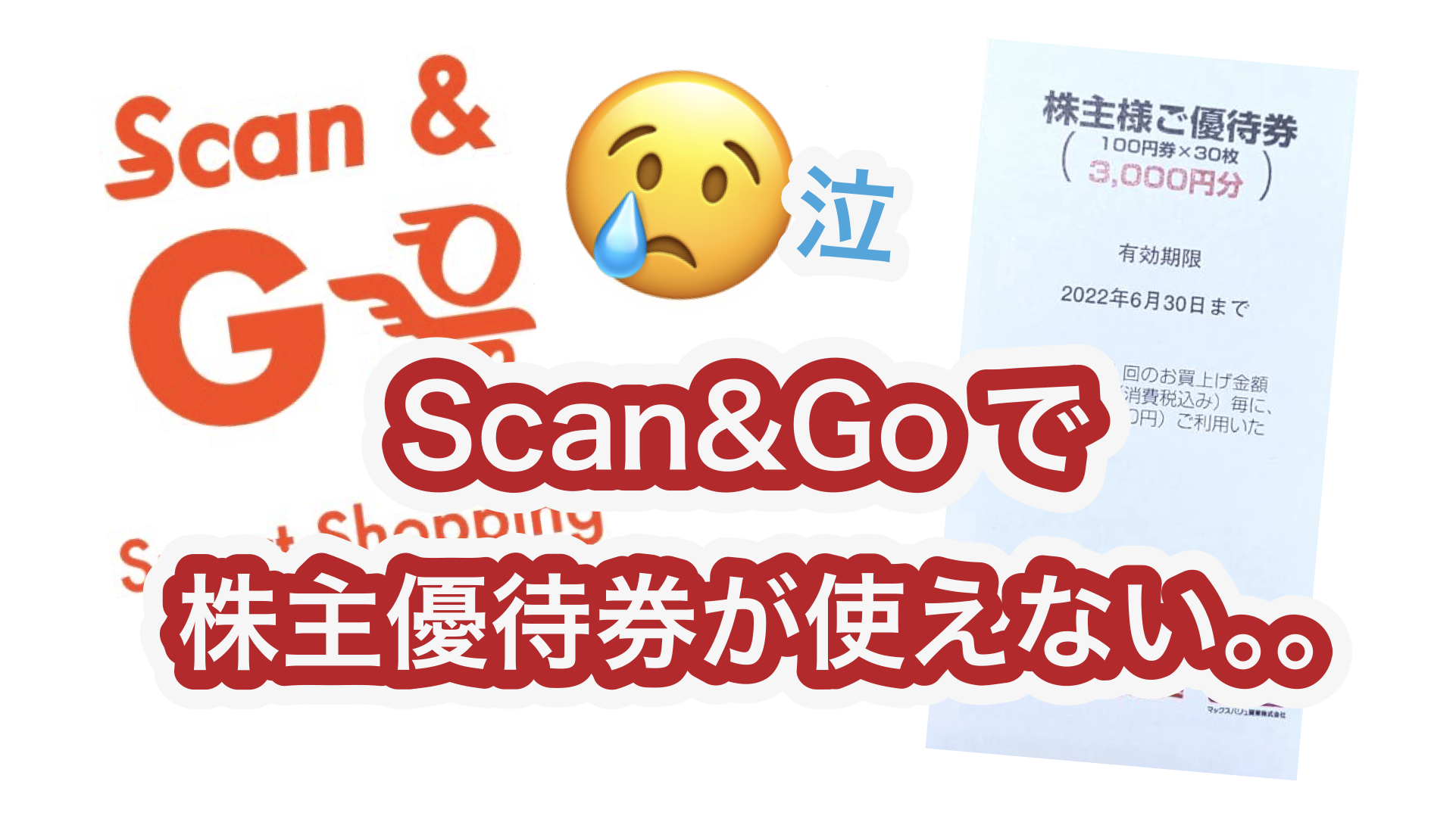 【Scan&Go】カスミ株主だからスキャンアンドゴーを使ってません！本当は使いたいです！！